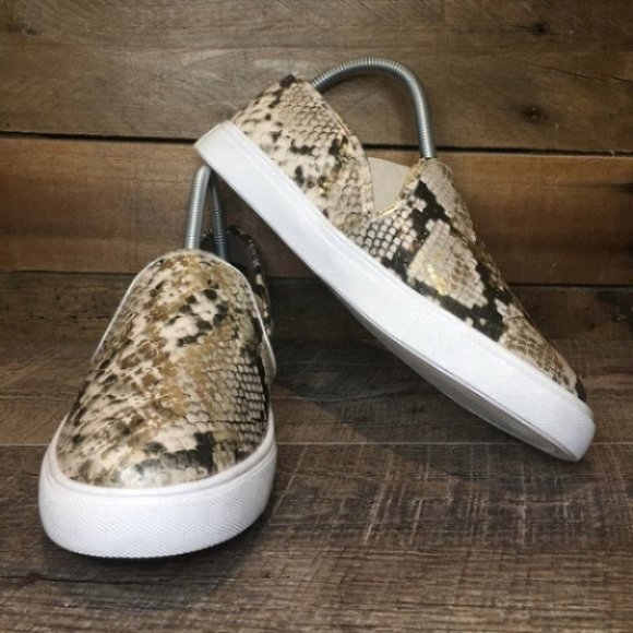 NEW Steve Madden Safary Snake Sneaker - Picture 5 of 10